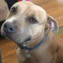 Thumbnail photo of Salome #1