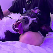 Thumbnail photo of Spider #2