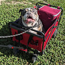 Thumbnail photo of Spud #2