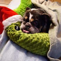 Thumbnail photo of Spud #3