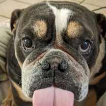 Thumbnail photo of Spud #4