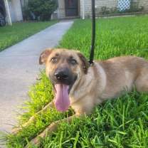 Thumbnail photo of Max #3