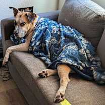 Thumbnail photo of Gigglesworth #2