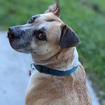 Thumbnail photo of Gigglesworth #4