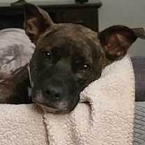 Thumbnail photo of Kaia #3