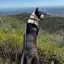 Thumbnail photo of Logan #2