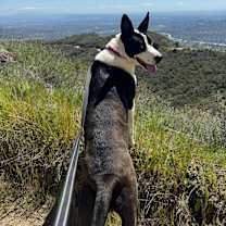 Thumbnail photo of Logan #4