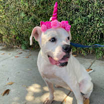 Thumbnail photo of Mila #2