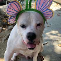 Thumbnail photo of Mila #3