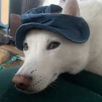 Thumbnail photo of Parker #2