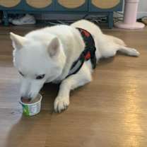 Thumbnail photo of Parker #4