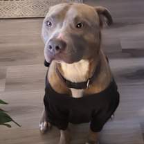 Thumbnail photo of Saint #2