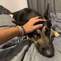 Thumbnail photo of Vito #2