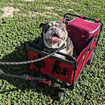 Thumbnail photo of Spud #2