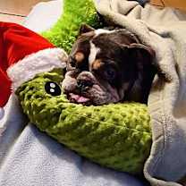 Thumbnail photo of Spud #3