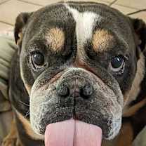 Thumbnail photo of Spud #4