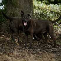 Thumbnail photo of Mystery #2