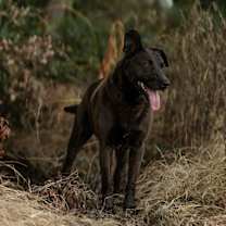 Thumbnail photo of Mystery #3