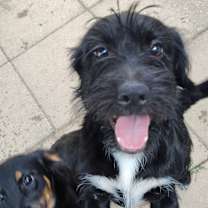 Thumbnail photo of Storm and Thunder #3