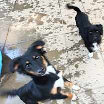 Thumbnail photo of Storm and Thunder #4
