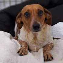 Thumbnail photo of China #2