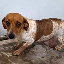 Thumbnail photo of China #3