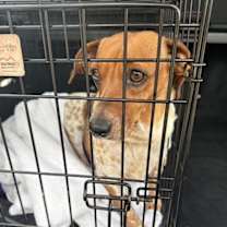 Thumbnail photo of China #4