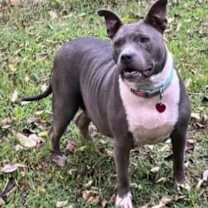 Thumbnail photo of Katie #1