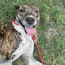 Thumbnail photo of Cliff #2