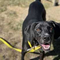 Thumbnail photo of Tippi #2