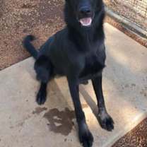 Thumbnail photo of Meg #1