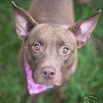 Thumbnail photo of Tweety #1