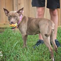 Thumbnail photo of Tweety #2