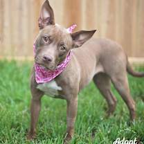 Thumbnail photo of Tweety #4