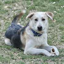 Thumbnail photo of Sunny #1