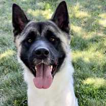 Thumbnail photo of Kimmie #1