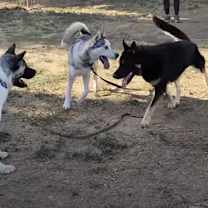 Thumbnail photo of Kimmie #2