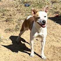 Thumbnail photo of Zuri #2