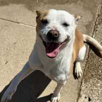 Thumbnail photo of Zuri #3