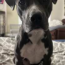 Thumbnail photo of SASHA-SKY #1
