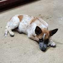 Thumbnail photo of Julio #1
