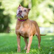 Thumbnail photo of Gaia #2