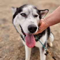 Thumbnail photo of Evan #4