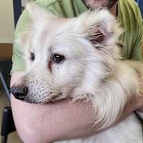 Thumbnail photo of Amos-St. Louis, MO #3