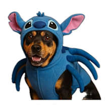 Thumbnail photo of Lulu #3