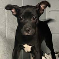 Thumbnail photo of Vern #2