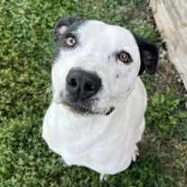 Thumbnail photo of Selena #4