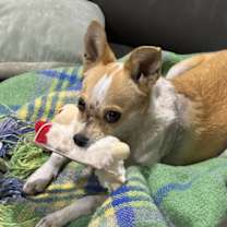 Thumbnail photo of Boogs #2