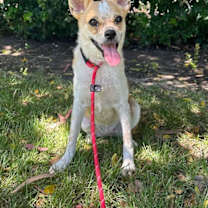 Thumbnail photo of Boogs #3