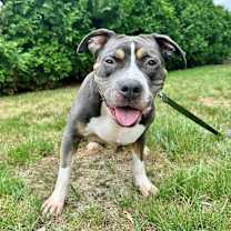 Thumbnail photo of Gloria #4